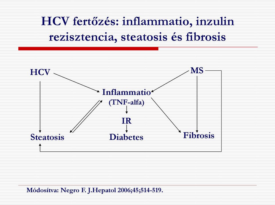 Steatosis Inflammatio (TNF-alfa) IR Diabetes