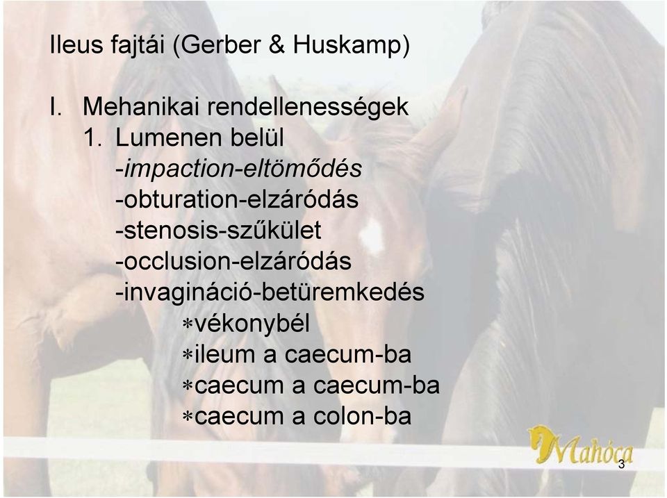 -stenosis-szűkület -occlusion-elzáródás