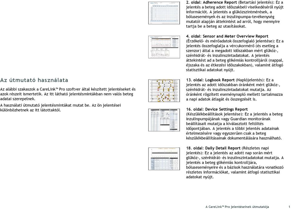 oldal: Sensor and Meter Overview Report (Érzékelő- és mérőadatok összefoglaló jelentése): Ez a jelentés összefoglalja a vércukormérő (és esetleg a szenzor) által a megadott időszakban mért glükóz-,