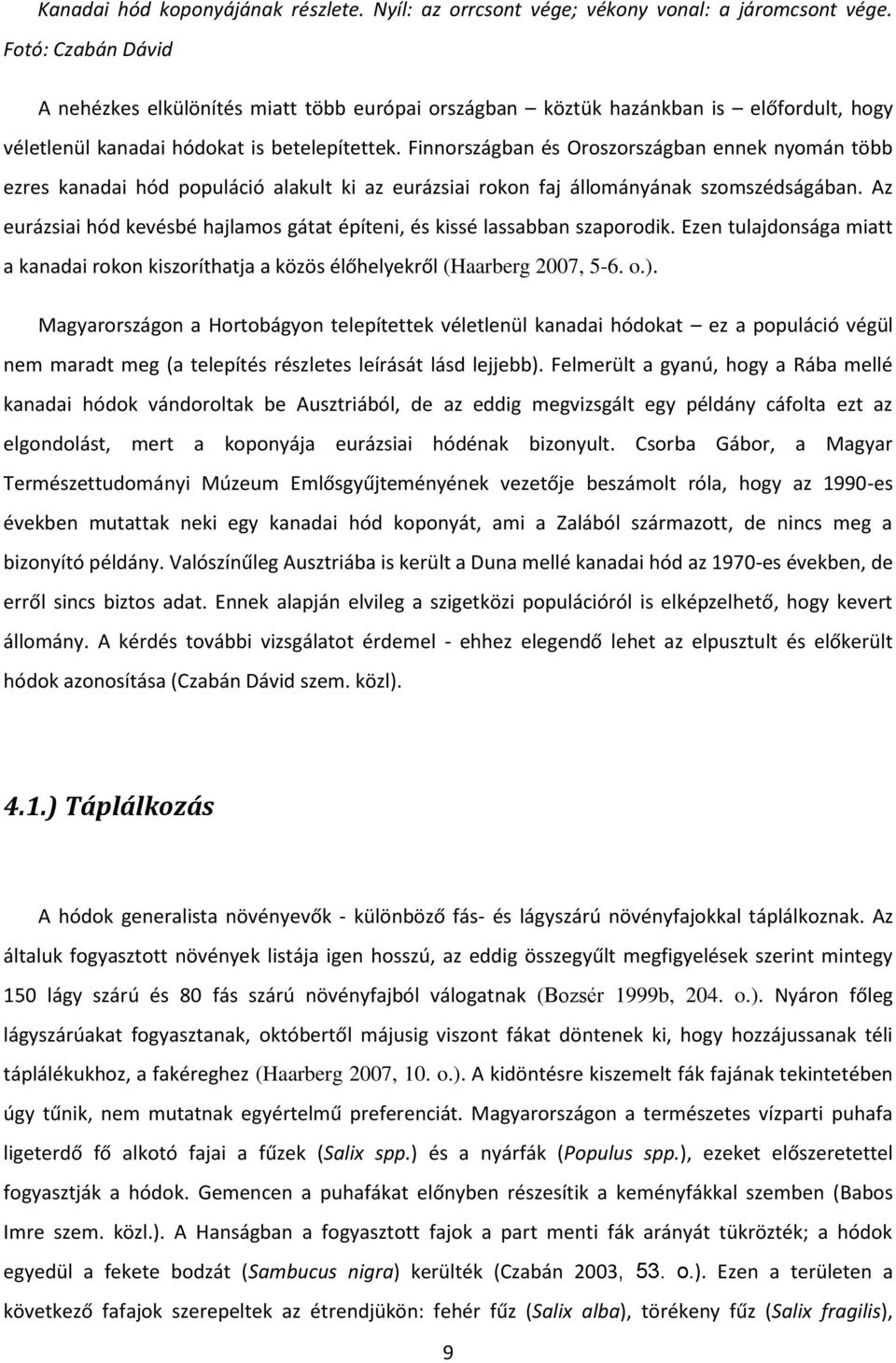 Finnországban és Oroszországban ennek nyomán több ezres kanadai hód populáció alakult ki az eurázsiai rokon faj állományának szomszédságában.