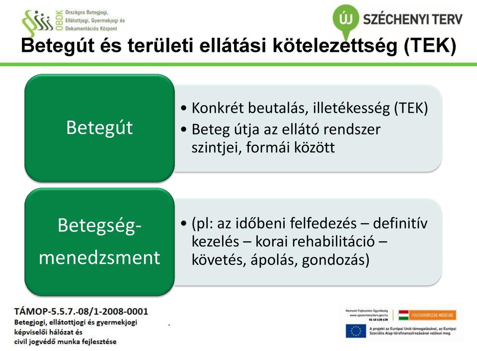 szintjei, formái között Betegség- menedzsment (pl: az időbeni