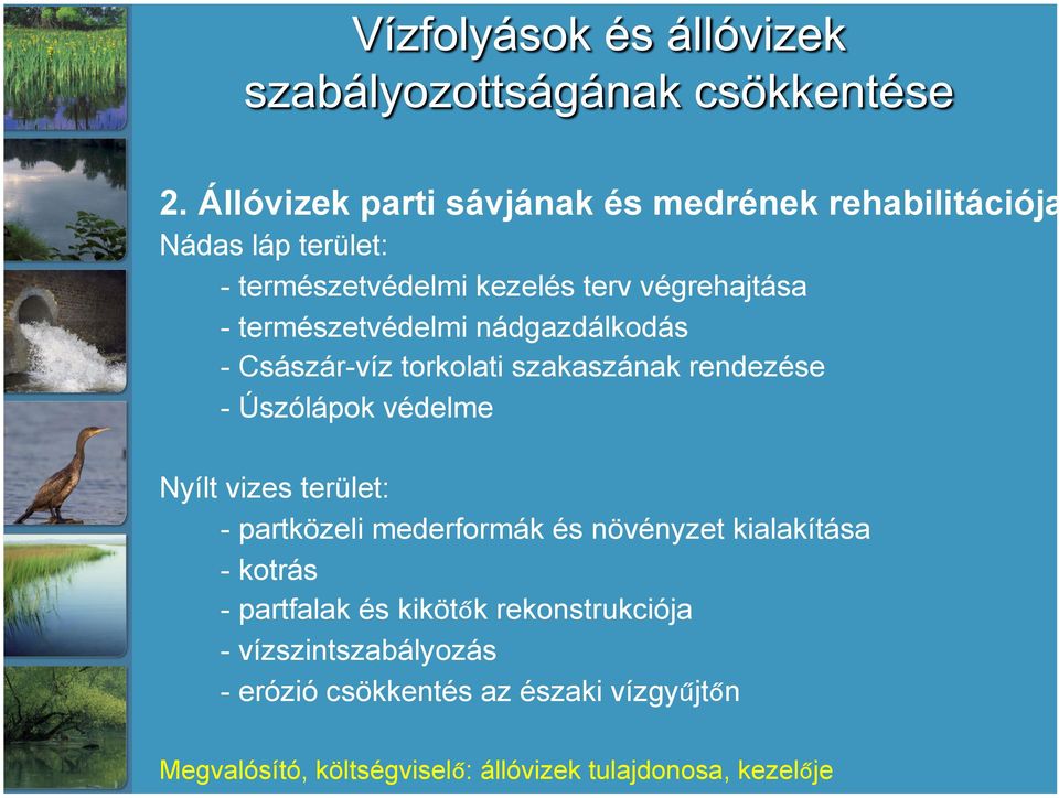 Nyílt vizes terület: - partközeli mederformák és növényzet kialakítása - kotrás - partfalak és kikötők