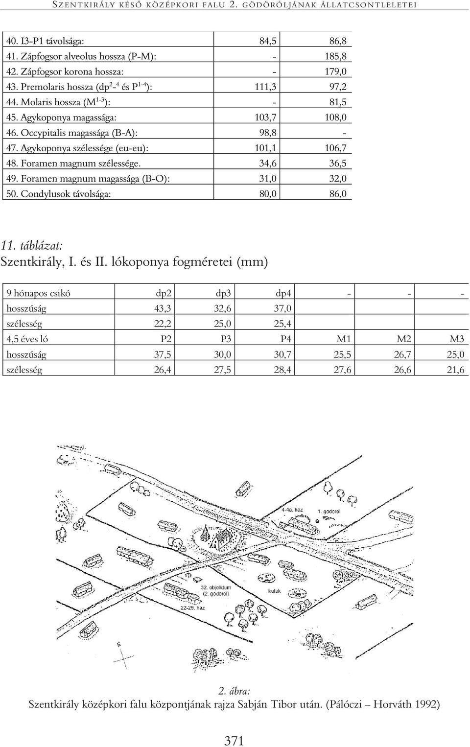 25,4 4,5 éves ló P2 P3 P4 M1 M2 M3 hosszúság 37,5 30,0 30,7 25,5 26,7 25,0 szélesség 26,4 27,5 28,4 27,6