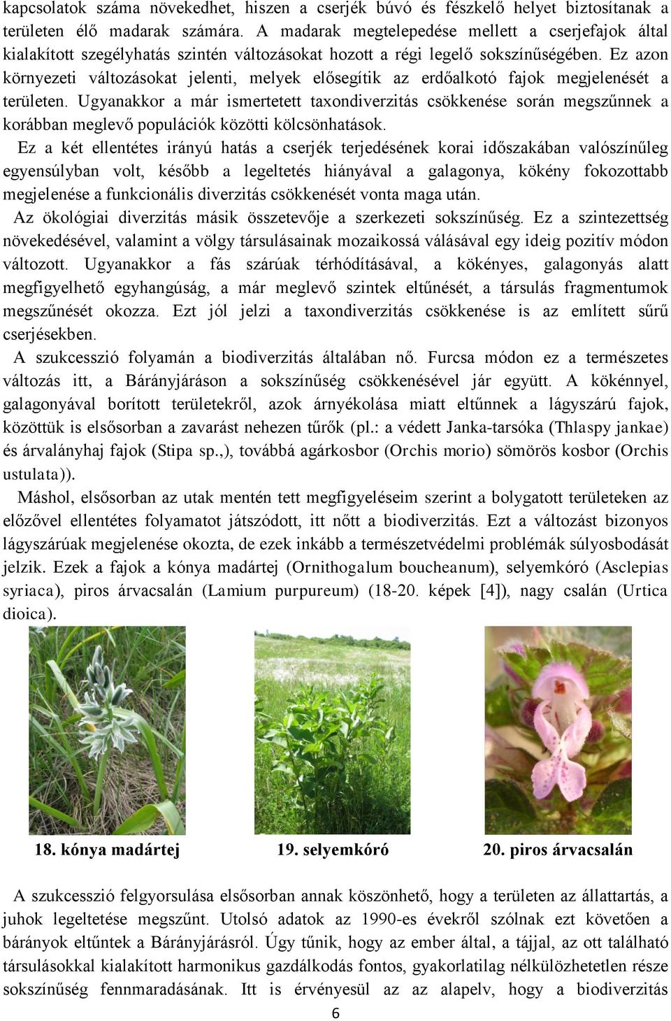 Ez azon környezeti változásokat jelenti, melyek elősegítik az erdőalkotó fajok megjelenését a területen.