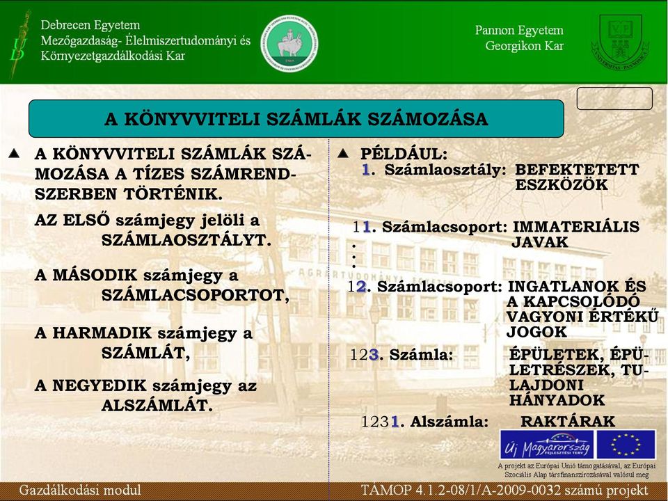 A MÁSODIK számjegy a SZÁMLACSOPORTOT, A HARMADIK számjegy a SZÁMLÁT, A NEGYEDIK számjegy az ALSZÁMLÁT. PÉLDÁUL: 1.