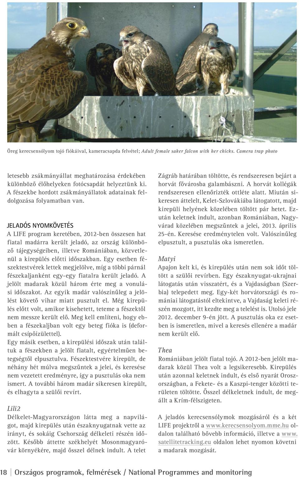 JELADÓS NYOMKÖVETÉS A LIFE program keretében, 2012-ben összesen hat fiatal madárra került jeladó, az ország különböző tájegységeiben, illetve Romániában, közvetlenül a kirepülés előtti időszakban.