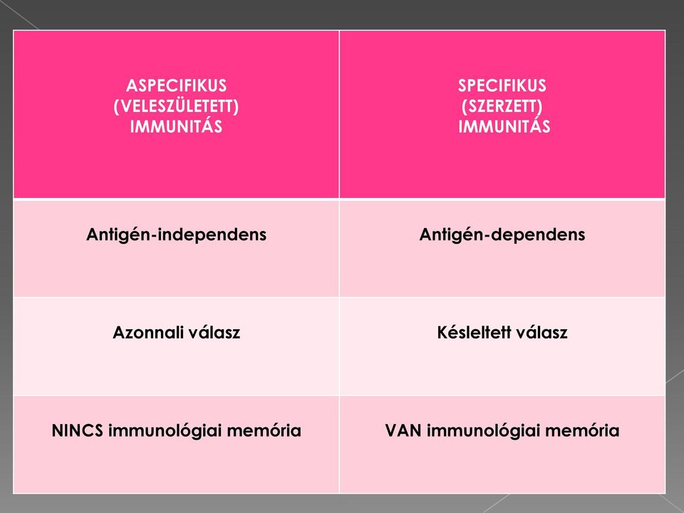 Antigén-dependens Azonnali válasz Késleltett
