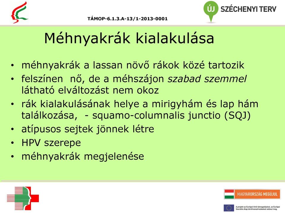 rák kialakulásának helye a mirigyhám és lap hám találkozása, -