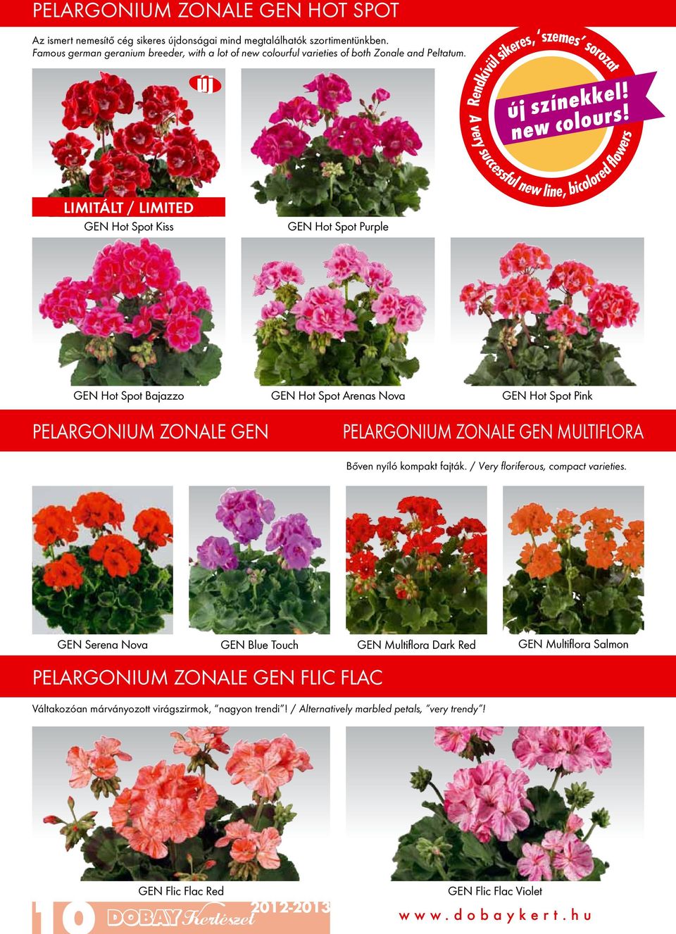 Rendkívül sikeres, szemes sorozat A very successful new line, bicolored flowers LIMITÁLT / LIMITED GEN Hot Spot Kiss GEN Hot Spot Purple GEN Hot Spot Bajazzo GEN Hot Spot Arenas Nova GEN Hot Spot