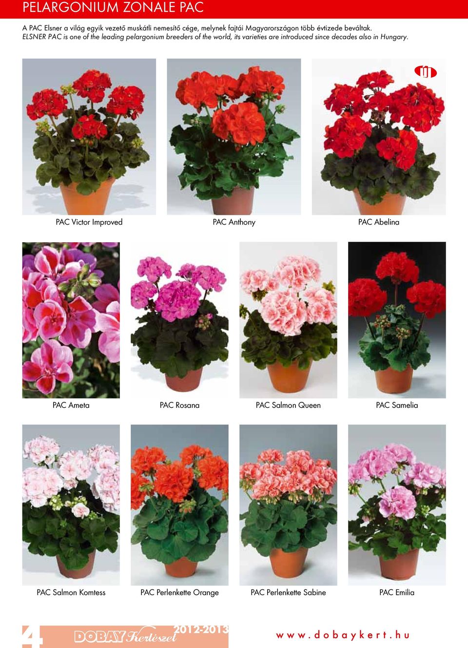 ELSNER PAC is one of the leading pelargonium breeders of the world, its varieties are introduced since