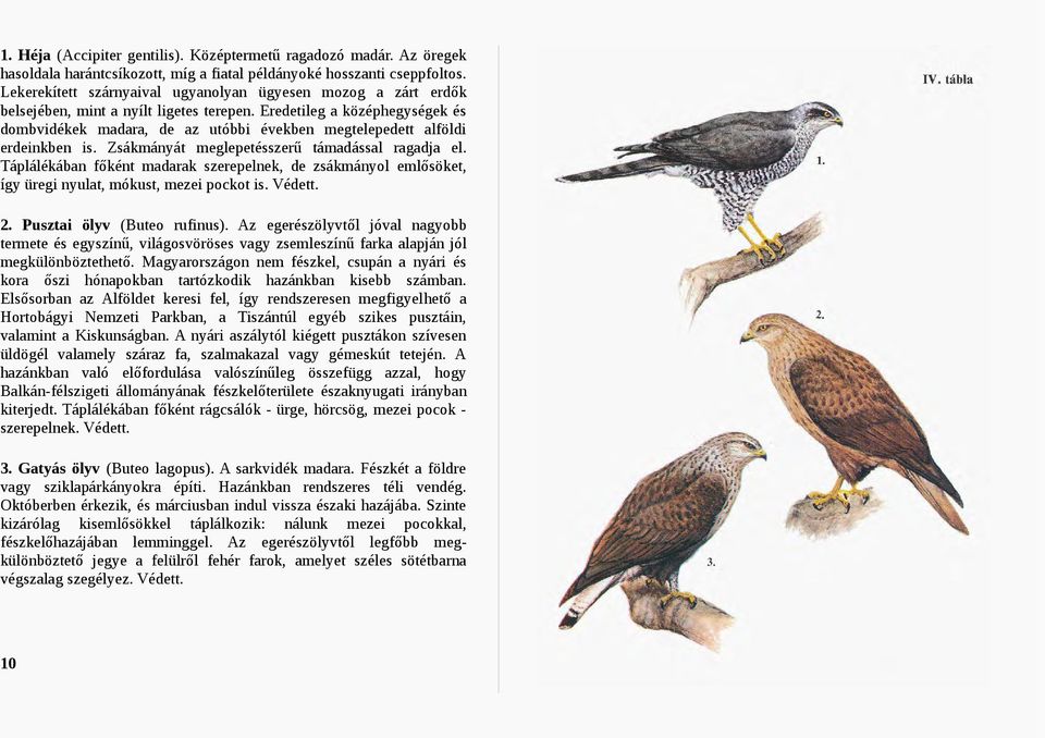 Eredetileg a középhegységek és dombvidékek madara, de az utóbbi években megtelepedett alföldi erdeinkben is. Zsákmányát meglepetésszerű támadással ragadja el.