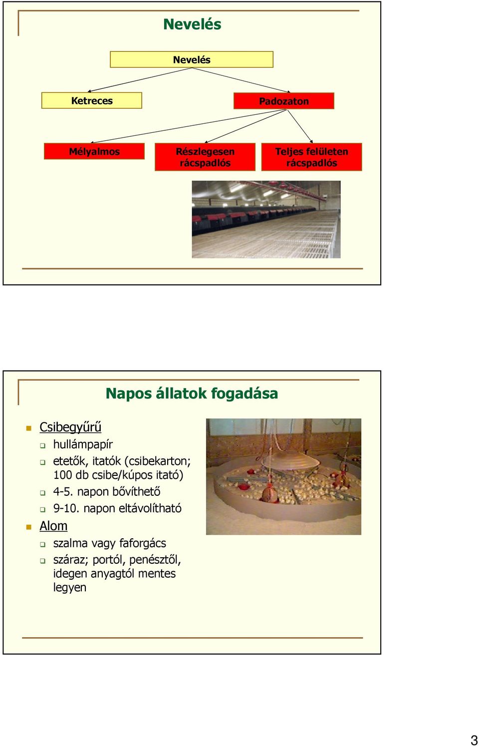 100 db csibe/kúpos itató) 4-5. napon bővíthető 9-10.