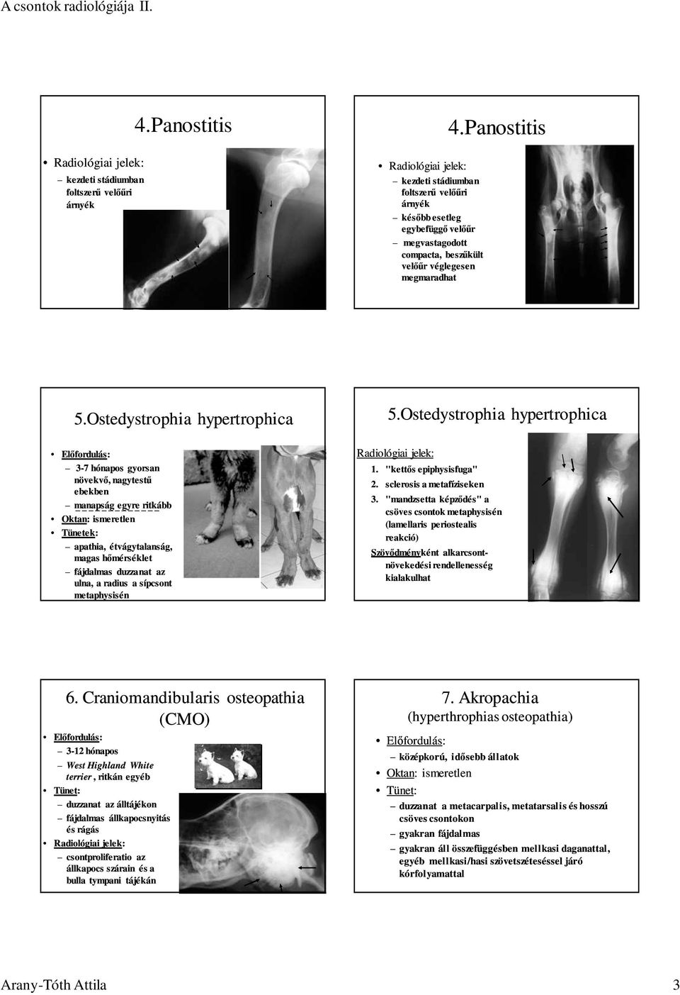 Ostedystrophia hypertrophica Elıfordulás: 3-7 hónapos gyorsan növekvı, nagytestő ebekben manapság egyre ritkább Oktan: ismeretlen Tünetek: apathia, étvágytalanság, magas hımérséklet fájdalmas