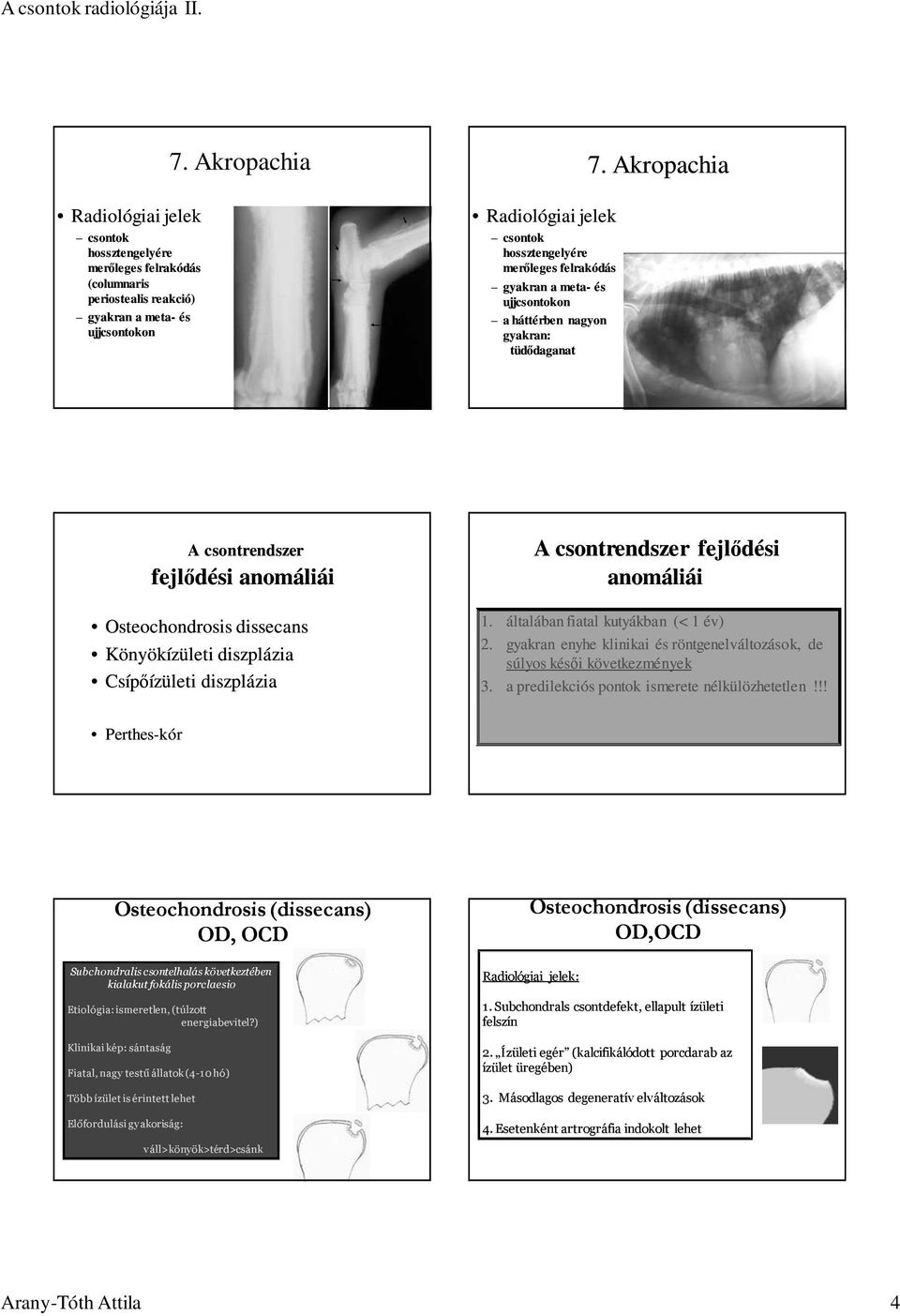 Akropachia A csontrendszer fejlıdési anomáliái Osteochondrosis dissecans Könyökízületi diszplázia A csontrendszer fejlıdési anomáliái 1. általában fiatal kutyákban (< 1 év) 2.