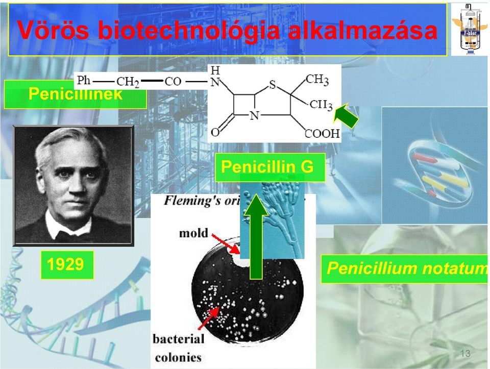 Penicillinek illi