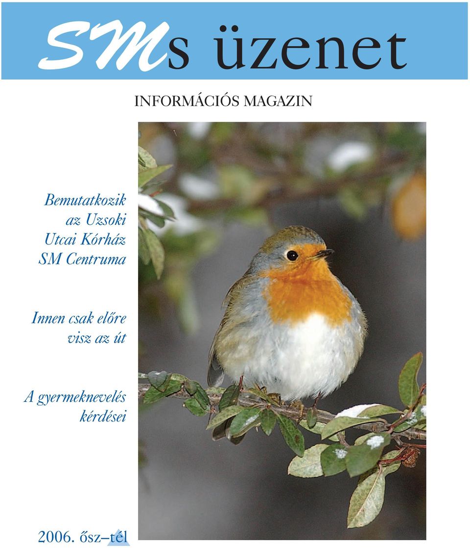 SM Centruma Innen csak elõre visz az