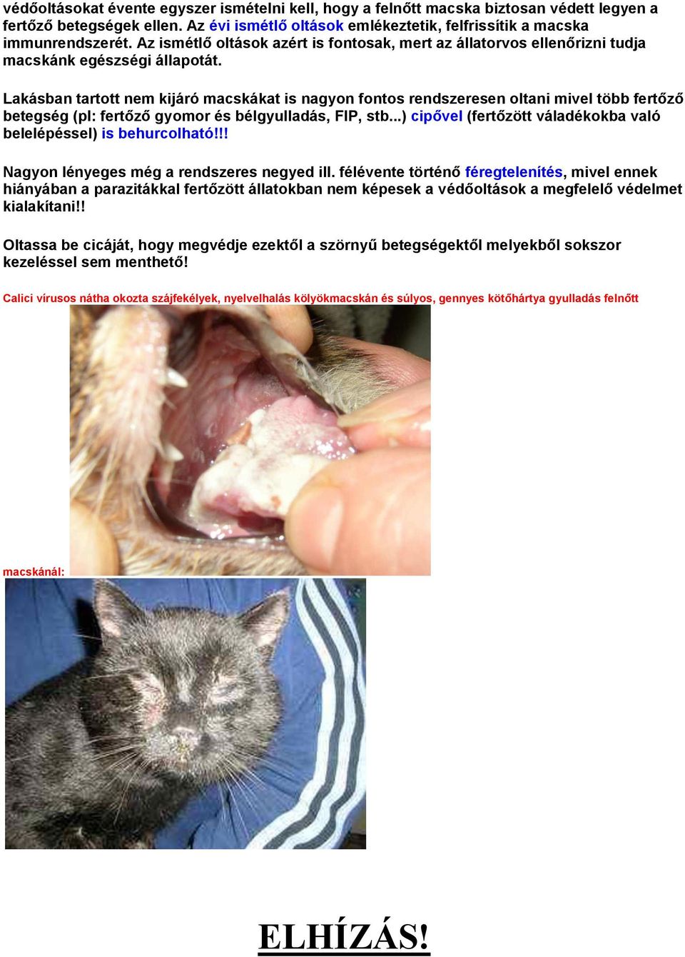 Macska betegségek, oltások! - PDF Ingyenes letöltés