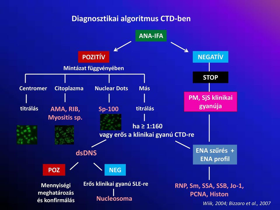 Nuclear Dots Sp 100 Más titrálás ha 1:160 vagy erős a klinikai gyanú CTD re NEGATÍV STOP PM, SjS klinikai