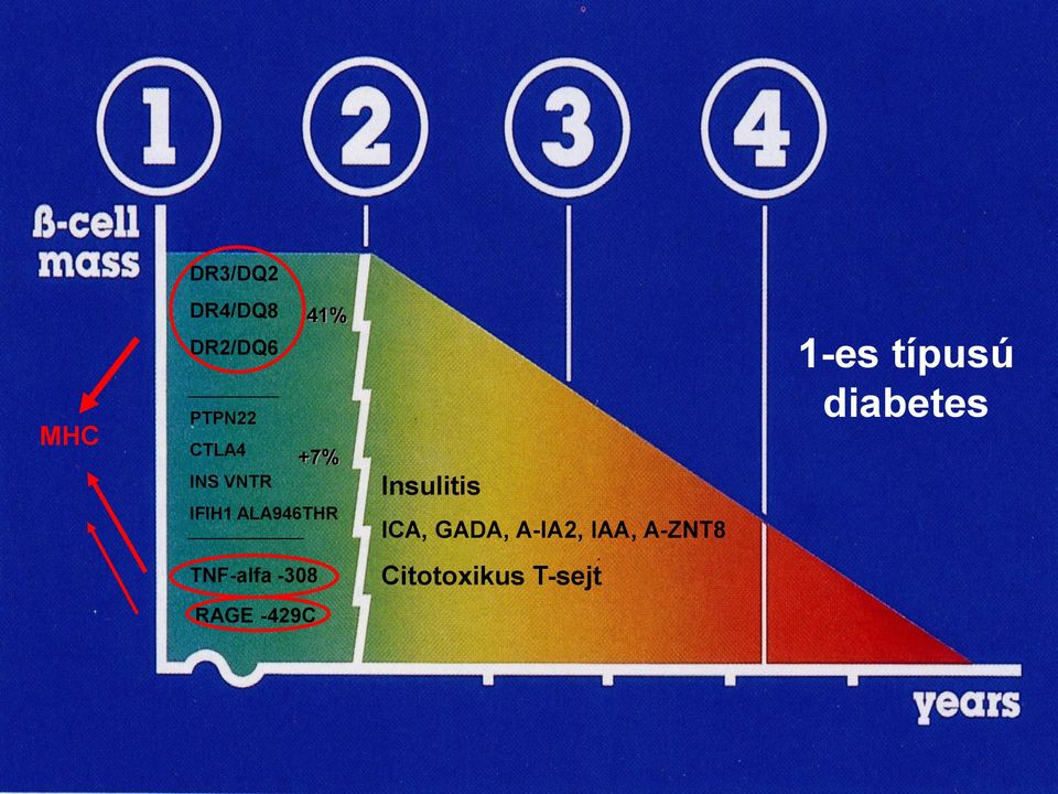 Megnövekedett diurézis a cukorbetegségben