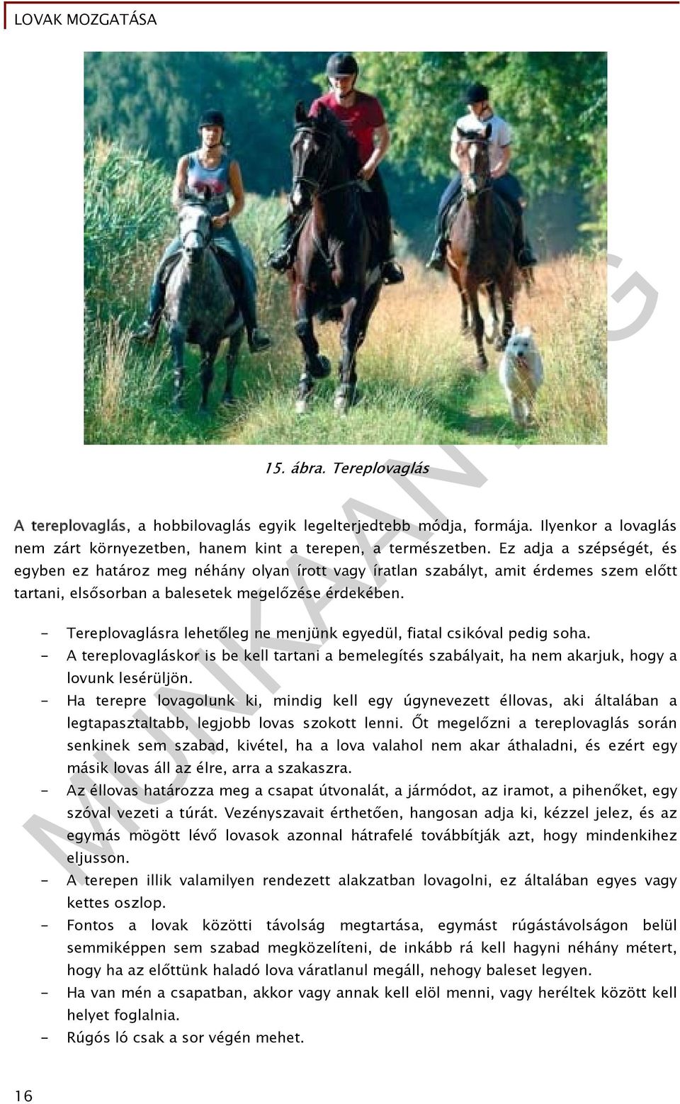 - Tereplovaglásra lehetőleg ne menjünk egyedül, fiatal csikóval pedig soha. - A tereplovagláskor is be kell tartani a bemelegítés szabályait, ha nem akarjuk, hogy a lovunk lesérüljön.