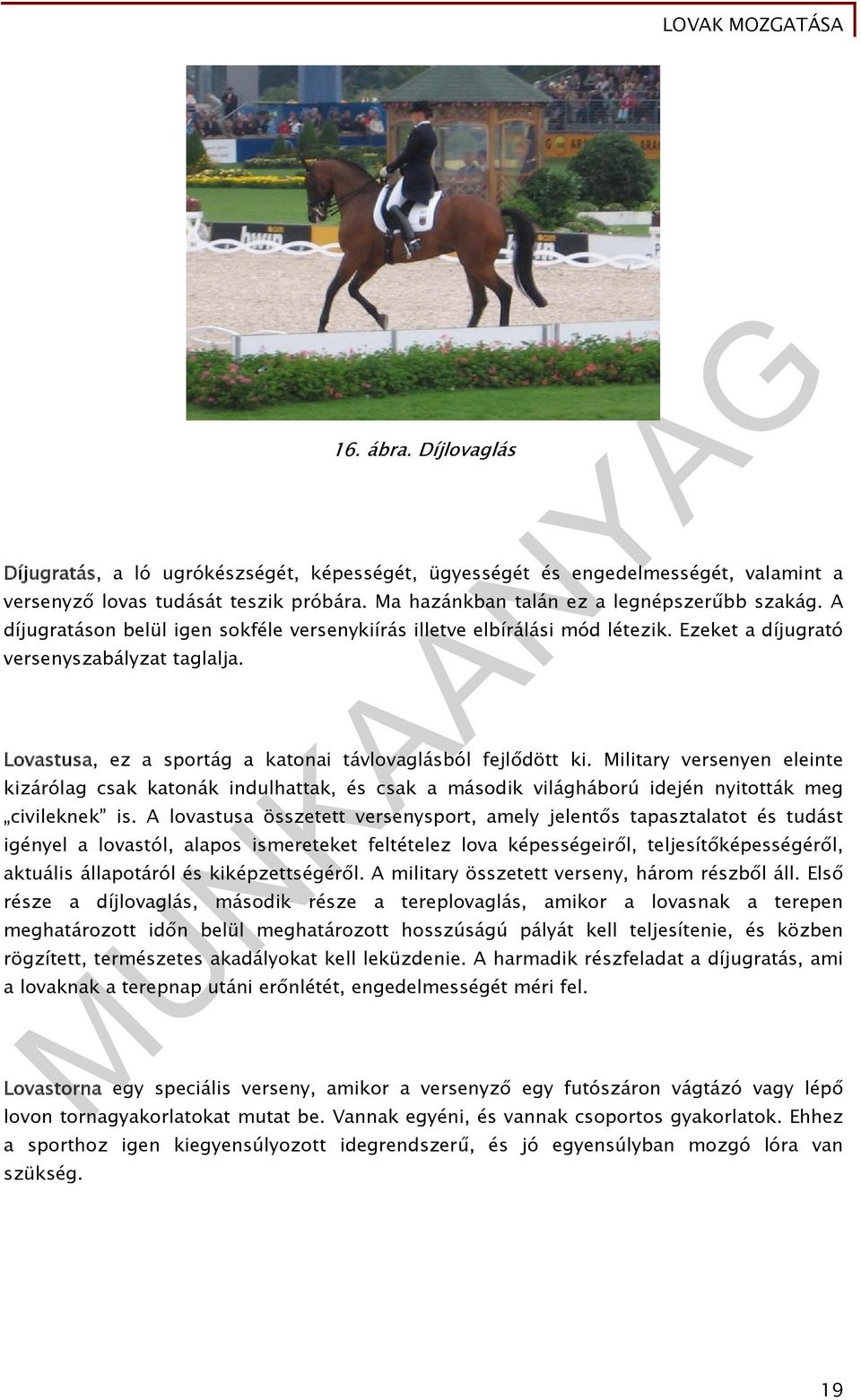 Military versenyen eleinte kizárólag csak katonák indulhattak, és csak a második világháború idején nyitották meg civileknek is.