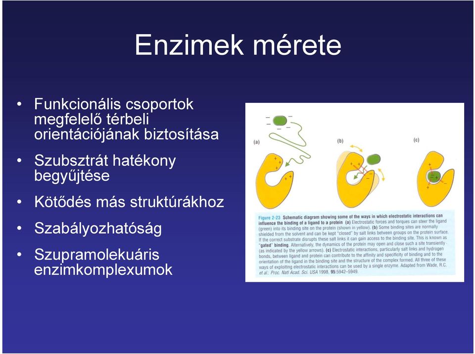 hatékony begyűjtése Kötődés más struktúrákhoz