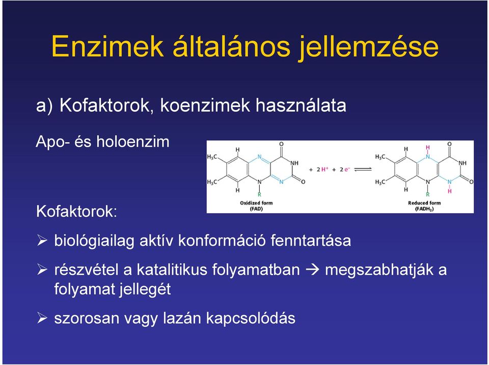 konformáció fenntartása részvétel a katalitikus folyamatban