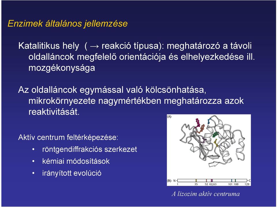mozgékonysága Az oldalláncok egymással való kölcsönhatása, mikrokörnyezete nagymértékben