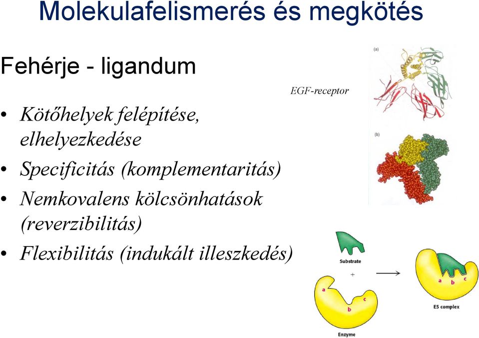 (komplementaritás) Nemkovalens kölcsönhatások