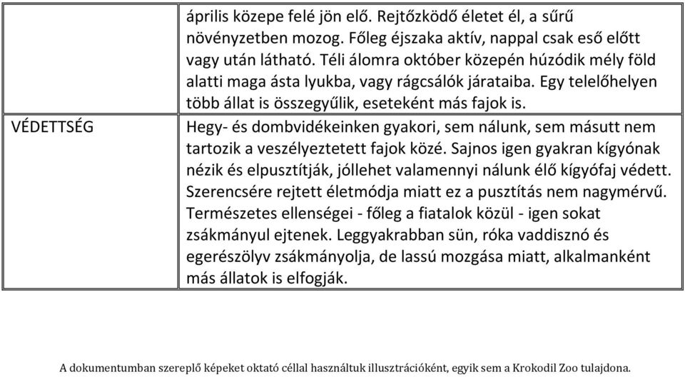 Hegy- és dombvidékeinken gyakori, sem nálunk, sem másutt nem tartozik a veszélyeztetett fajok közé. Sajnos igen gyakran kígyónak nézik és elpusztítják, jóllehet valamennyi nálunk élő kígyófaj védett.