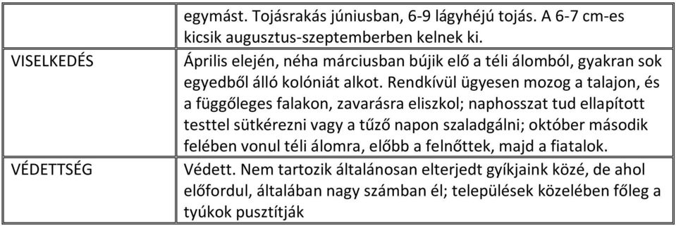 Rendkívül ügyesen mozog a talajon, és a függőleges falakon, zavarásra eliszkol; naphosszat tud ellapított testtel sütkérezni vagy a tűző napon