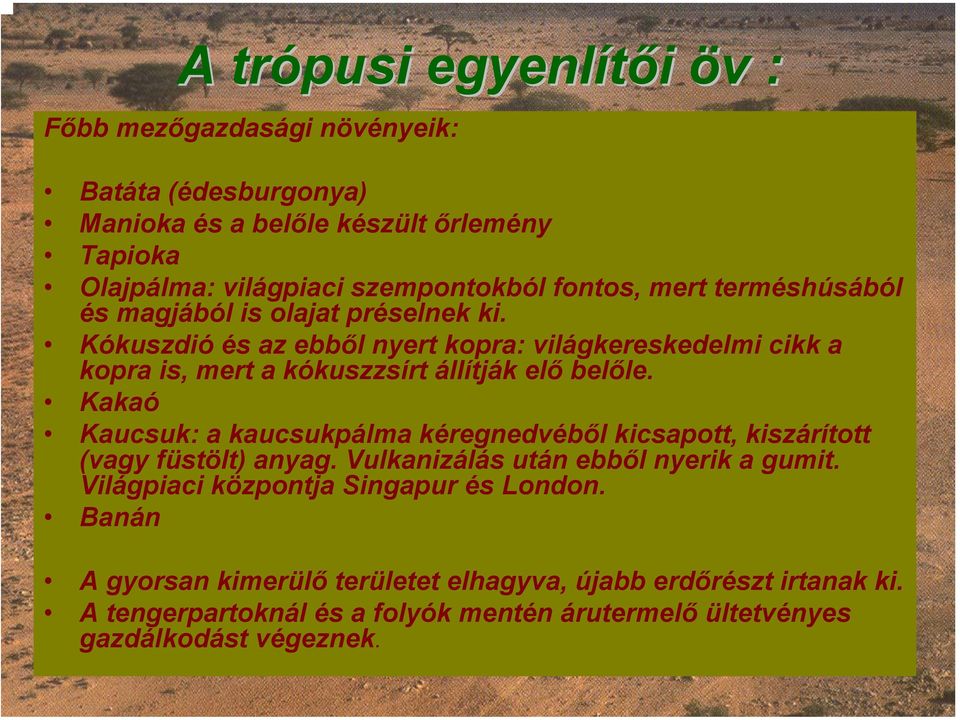 Kókuszdió és az ebből nyert kopra: világkereskedelmi cikk a kopra is, mert a kókuszzsírt állítják elő belőle.