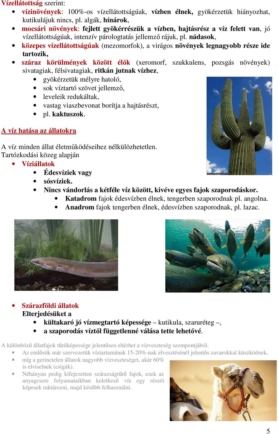 nádasok, közepes vízellátottságúak (mezomorfok), a virágos növények legnagyobb része ide tartozik, száraz körülmények között élők (xeromorf, szukkulens, pozsgás növények) sivatagiak, félsivatagiak,