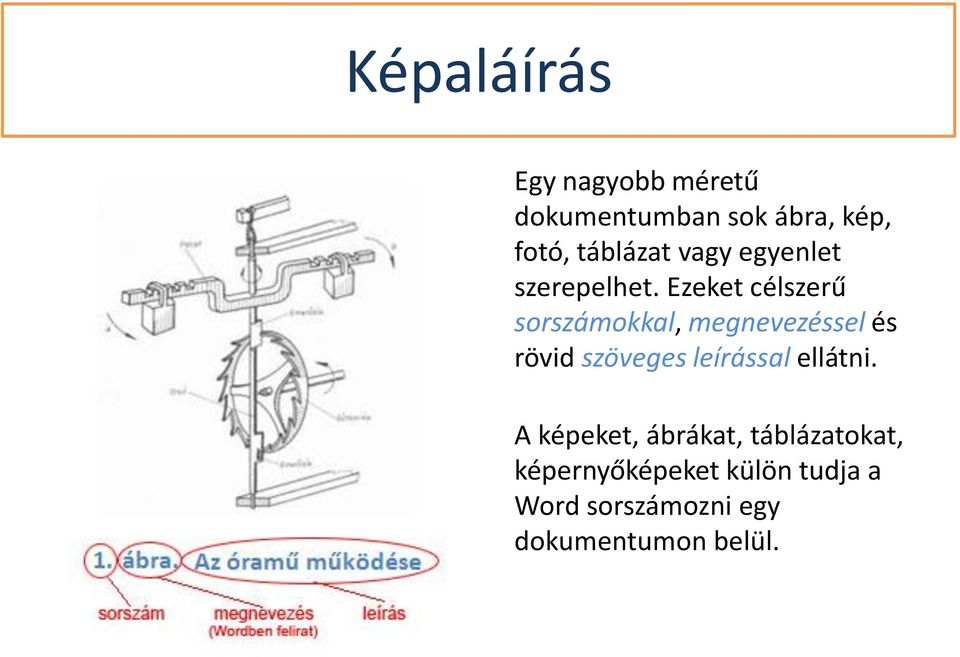 Ezeket célszerű sorszámokkal, megnevezéssel és rövid szöveges leírással