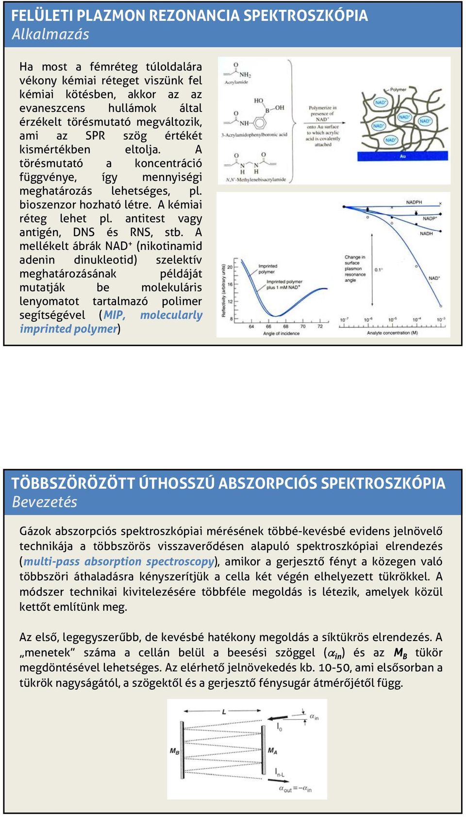 antitest vagy antigén, DNS és RNS, stb.
