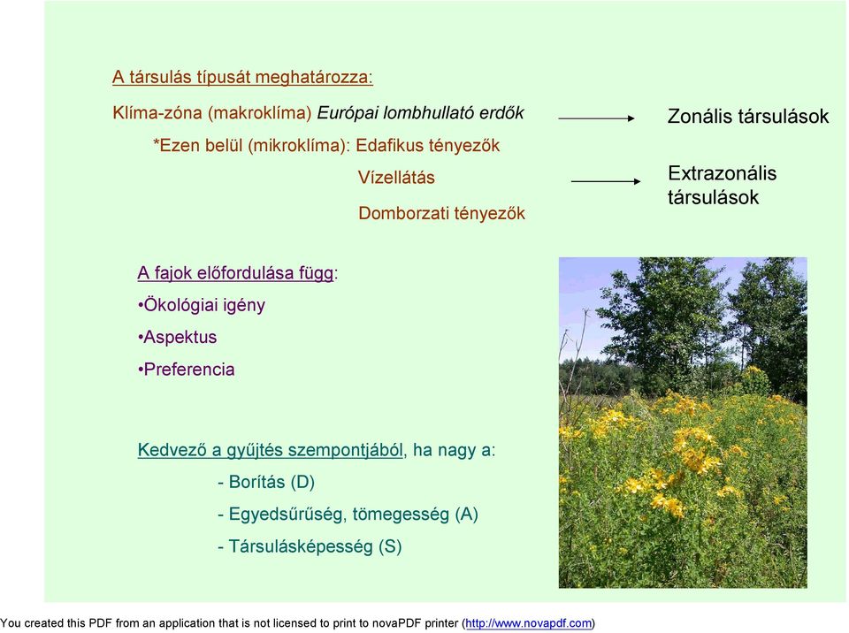 Extrazonális társulások A fajok előfordulása függ: Ökológiai igény Aspektus Preferencia