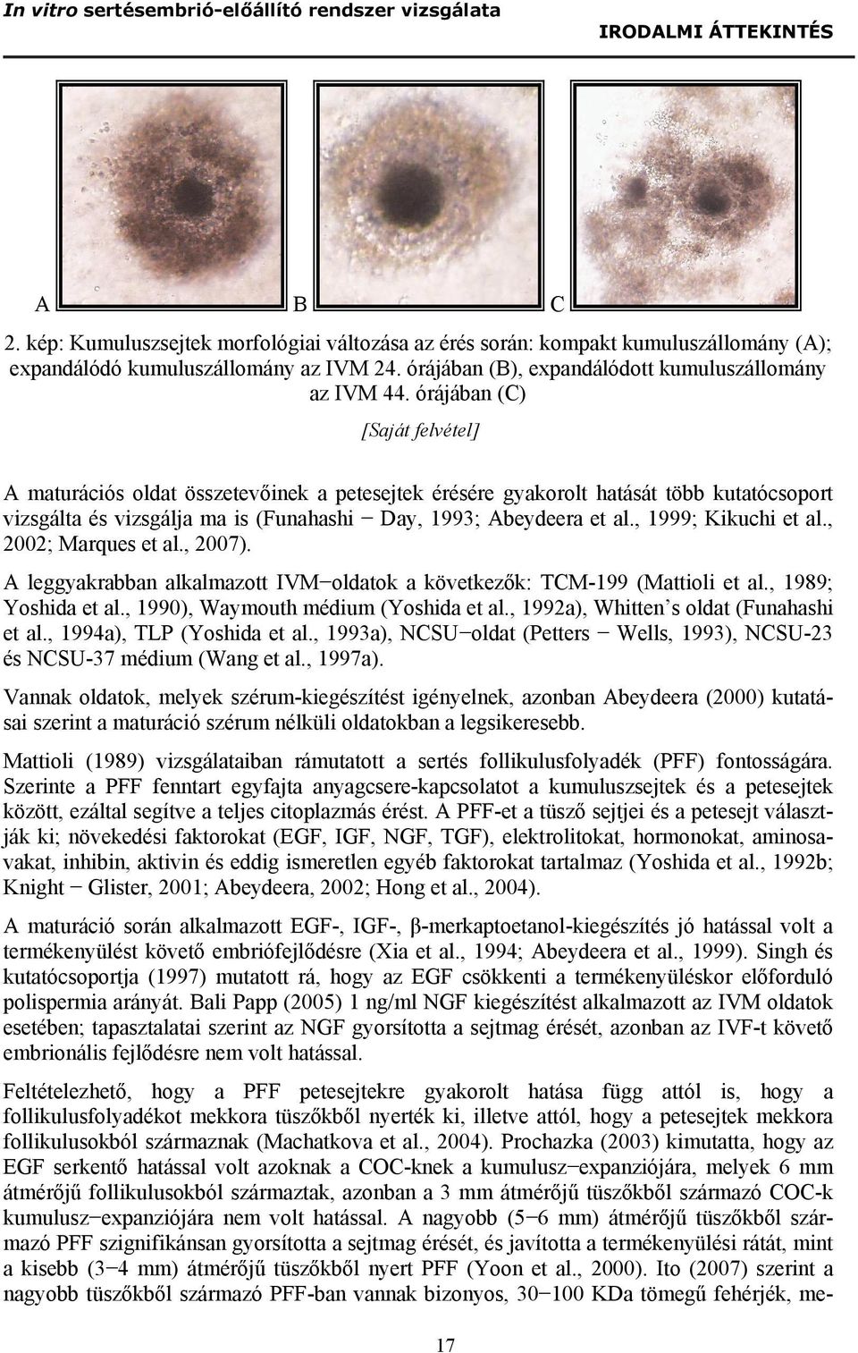 órájában (C) [Saját felvétel] A maturációs oldat összetevőinek a petesejtek érésére gyakorolt hatását több kutatócsoport vizsgálta és vizsgálja ma is (Funahashi Day, 1993; Abeydeera et al.