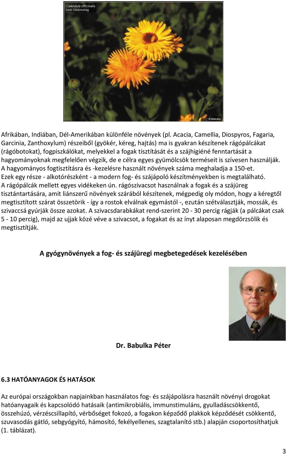 szájhigiéné fenntartását a hagyományoknak megfelelően végzik, de e célra egyes gyümölcsök terméseit is szívesen használják.
