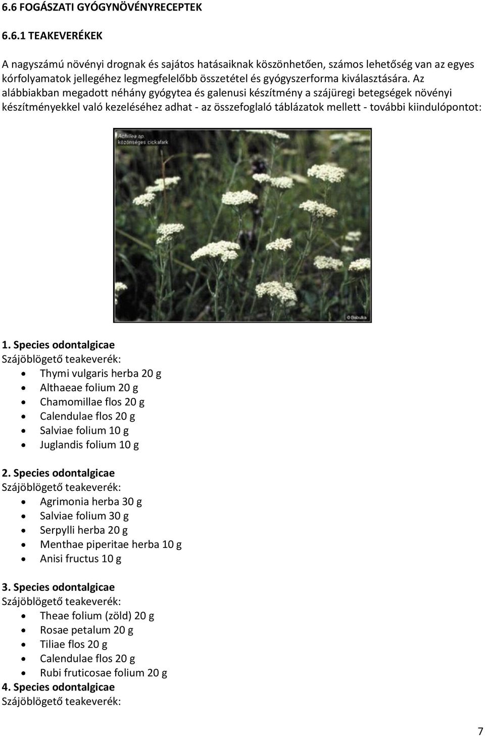 Species odontalgicae Szájöblögető teakeverék: Thymi vulgaris herba 20 g Althaeae folium 20 g Chamomillae flos 20 g Calendulae flos 20 g Salviae folium 10 g Juglandis folium 10 g 2.