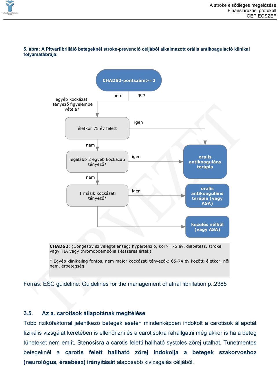 carotisok állapotának megítélése Több rizikófaktorral jelentkező betegek esetén mindenképpen indokolt a carotisok állapotát fizikális vizsgálat keretében is ellenőrizni