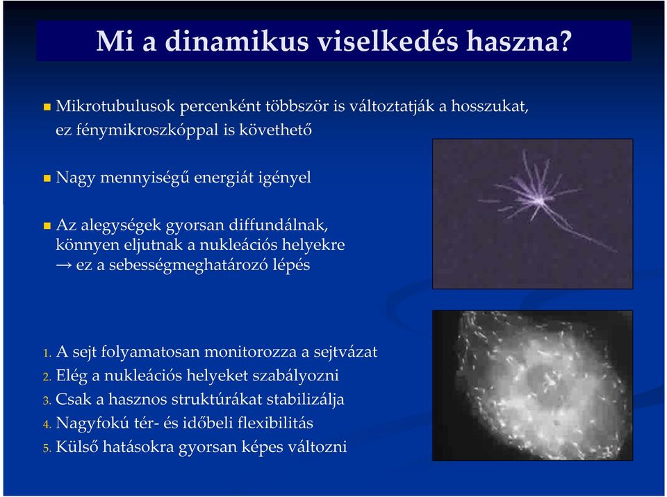 energiát igényel Az alegységek gyorsan diffundálnak, könnyen eljutnak a nukleációs helyekre ez a sebességmeghatározó