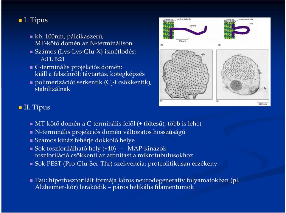 polimerizációt serkentik (C c -t csökkentik), stabilizálnak II.