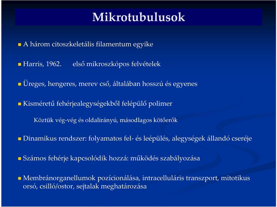 polimer Köztük vég-vég és oldalirányú, másodlagos kötőerők Dinamikus rendszer: folyamatos fel- és leépülés, alegységek