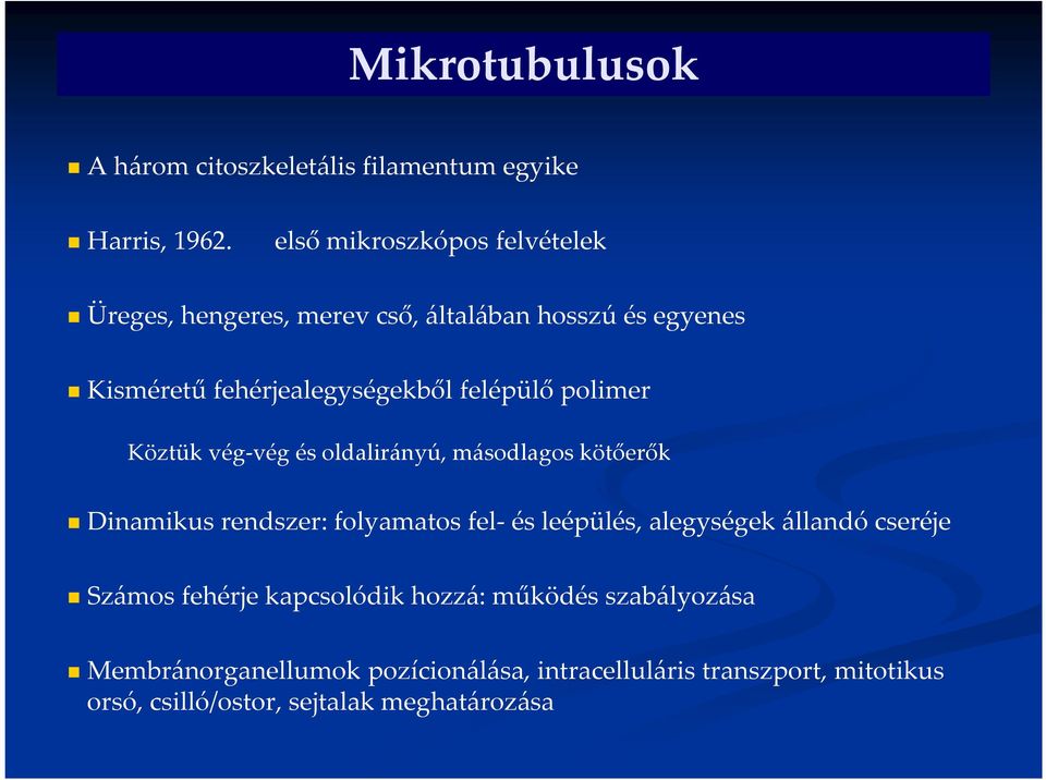 polimer Köztük vég-vég és oldalirányú, másodlagos kötőerők Dinamikus rendszer: folyamatos fel- és leépülés, alegységek