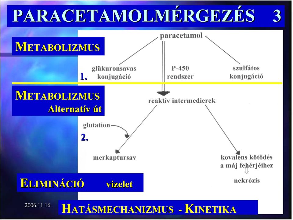 METABOLIZMUS Alternatív út 2.