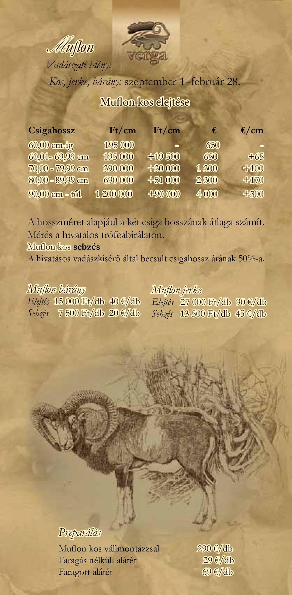 +51 000 2 300 +170 90,00 cm - től 1 200 000 +90 000 4 000 +300 A hosszméret alapjául a két csiga hosszának átlaga számít. Mérés a hivatalos trófeabírálaton.