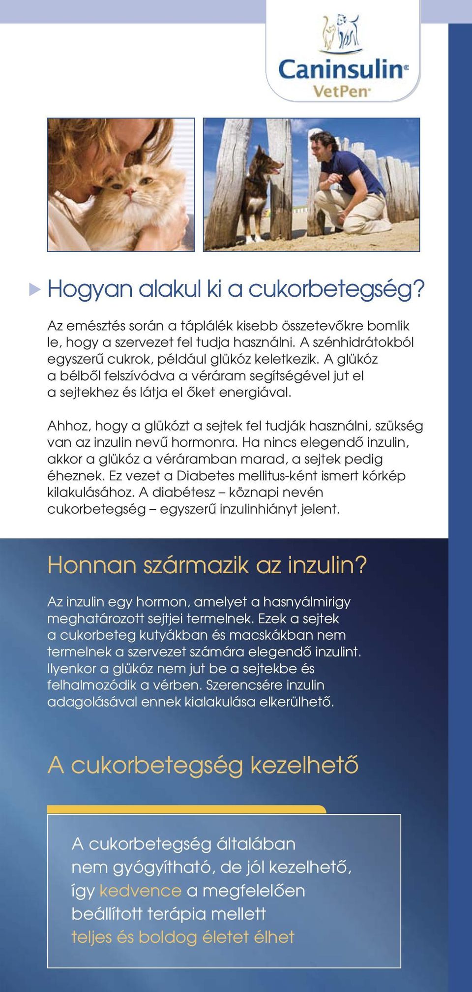 Ha nincs elegendô inzulin, akkor a glükóz a véráramban marad, a sejek pedig éheznek. Ez veze a Diabees mellius-kén ismer kórkép kilakulásához.