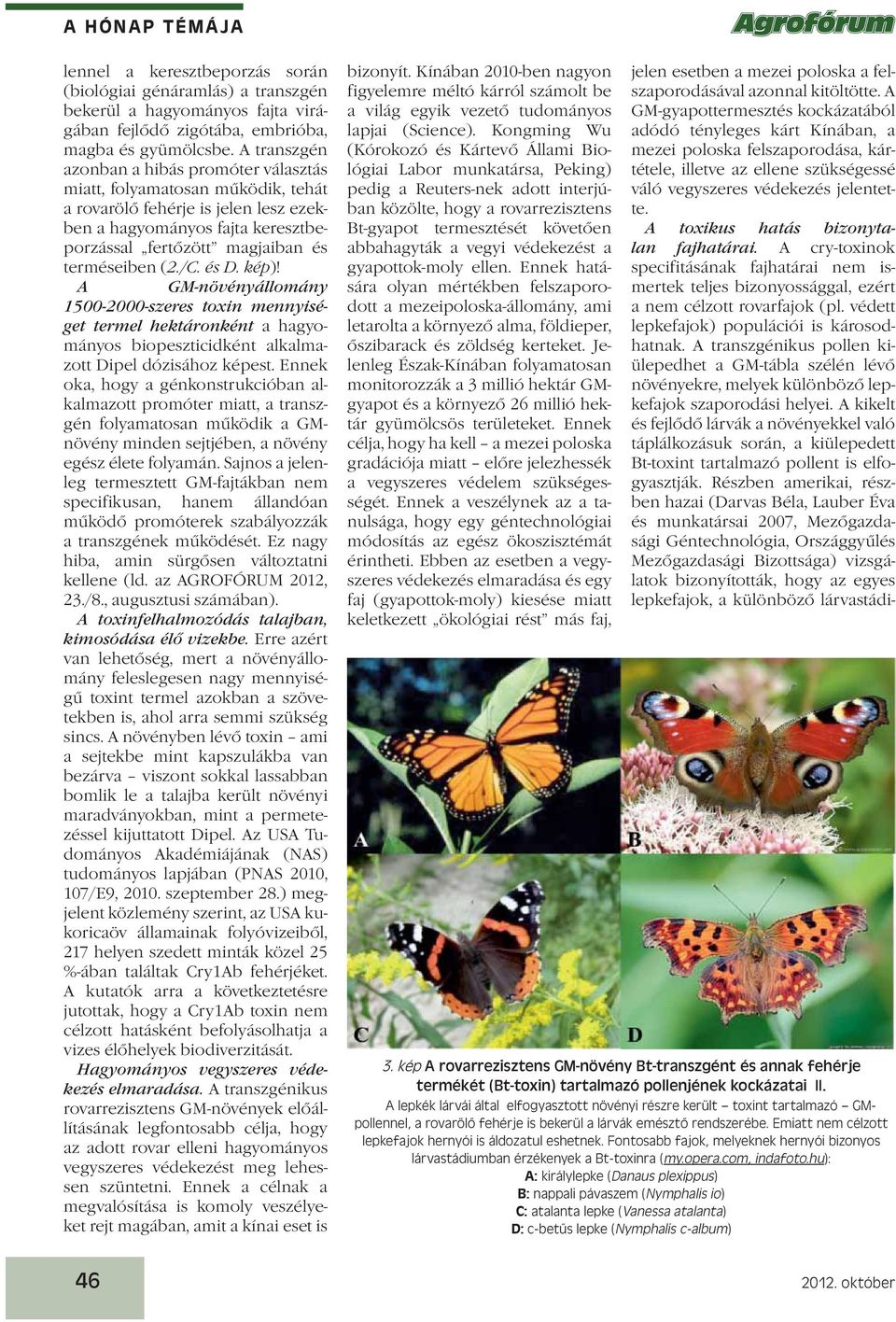 /C. és D. kép)! A GM-növényállomány 1500-2000-szeres toxin mennyiséget termel hektáronként a hagyományos biopeszticidként alkalmazott Dipel dózisához képest.
