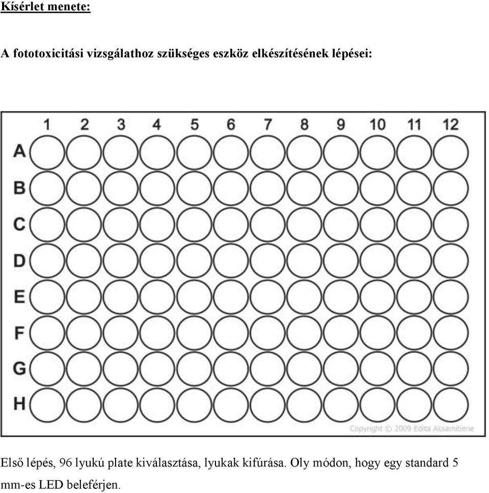lépés, 96 lyukú plate kiválasztása, lyukak