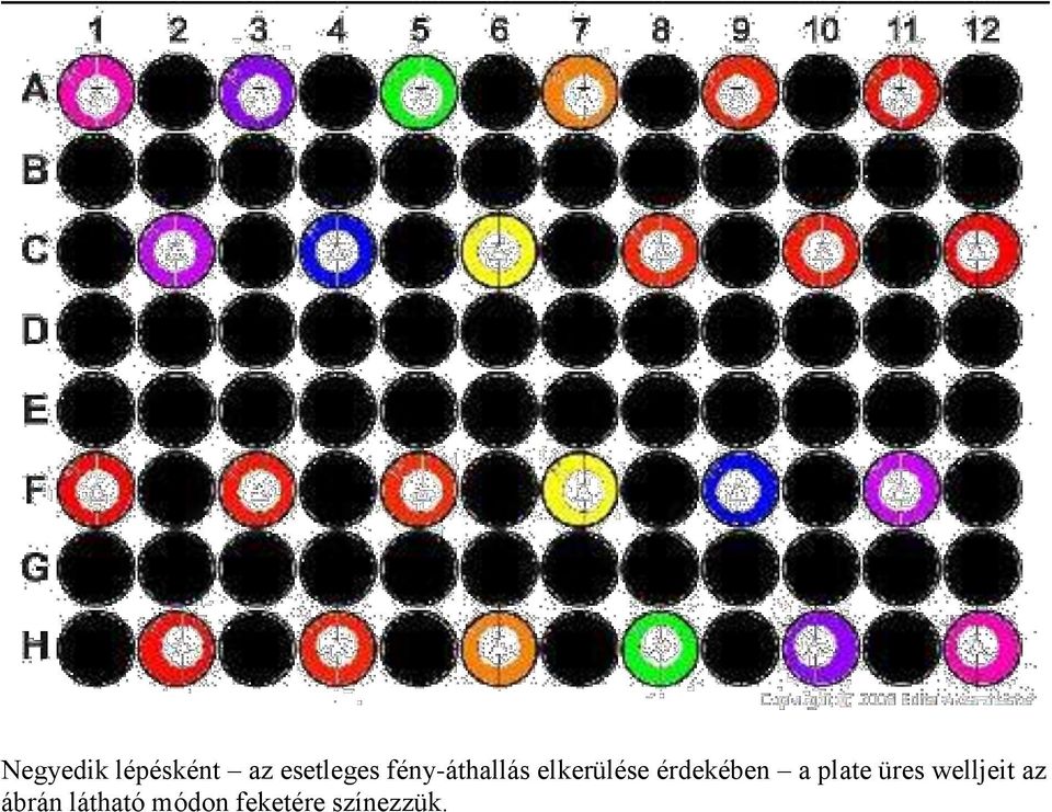 érdekében a plate üres welljeit